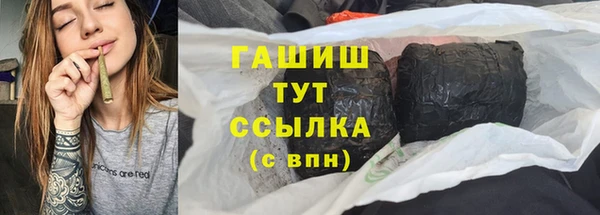 гидра Дмитров