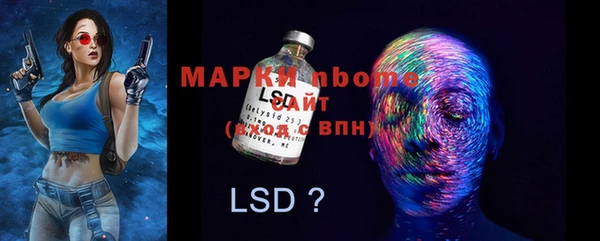 шишки Дмитровск