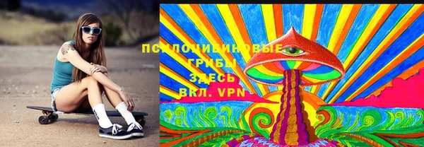шишки Дмитровск