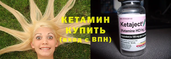 шишки Дмитровск