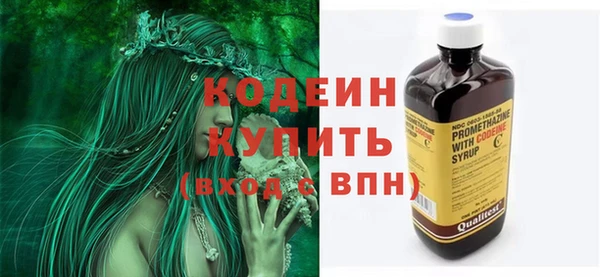 гашик Гусиноозёрск