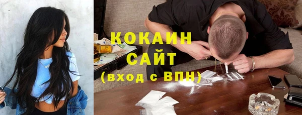гидра Дмитров