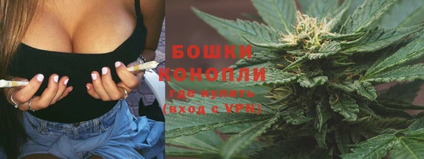 дмт Дмитриев