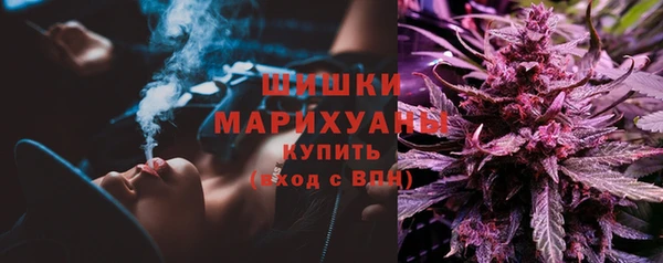шишки Дмитровск