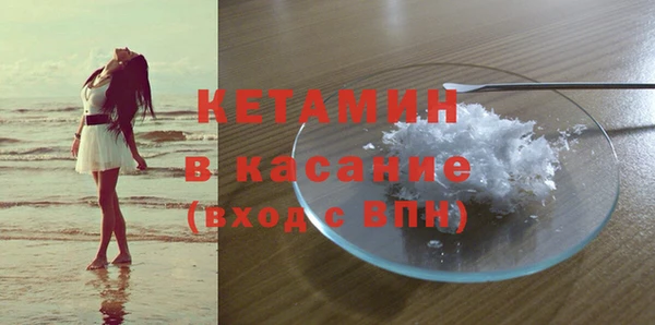 шишки Дмитровск