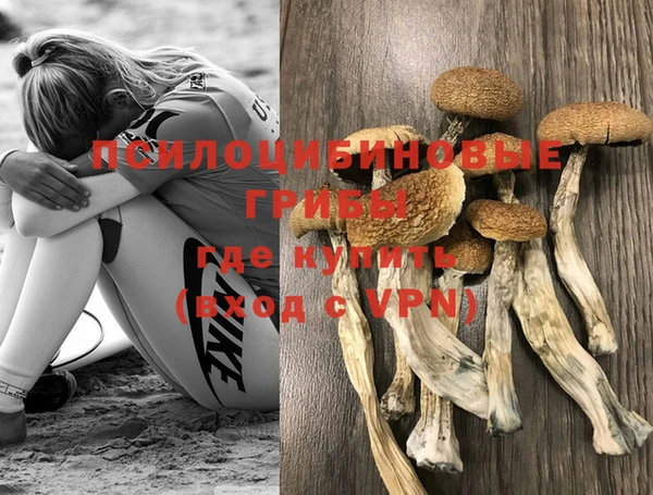 гидра Дмитров