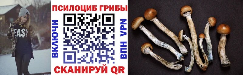 Галлюциногенные грибы ЛСД  Купить где  Цимлянск 